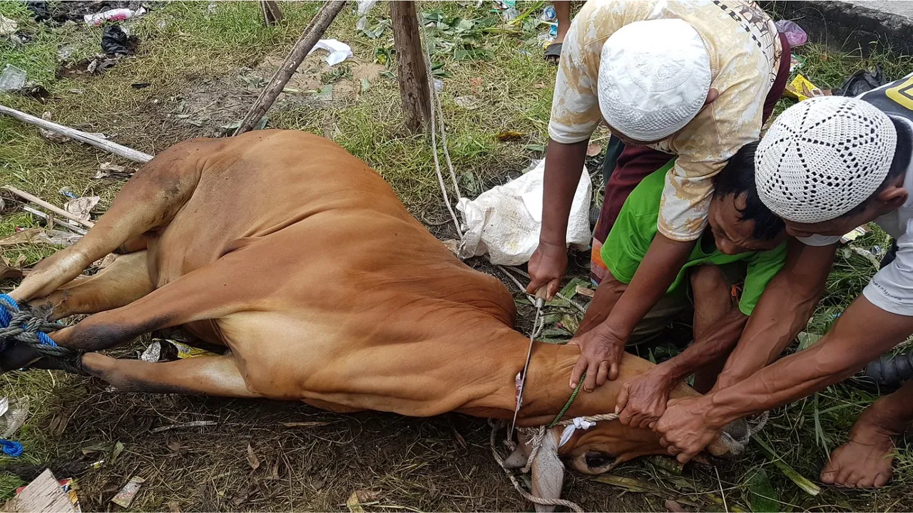 Takut Berqurban? Memahami Makna, Rezeki, dan Janji Allah