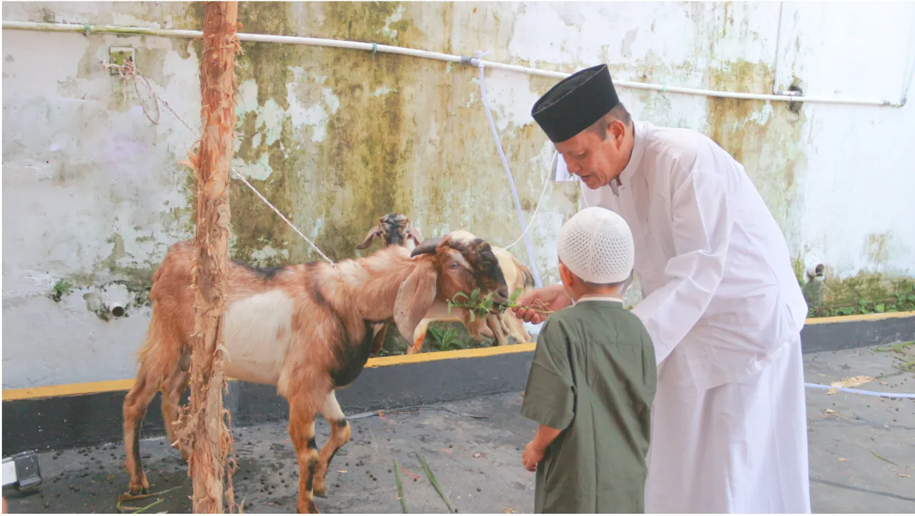 Kalau Sudah Mampu Berqurban, Kenapa Tidak?
