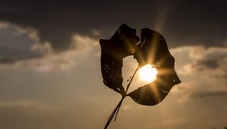 4 Racun Hati Menurut Sahabat Dekat Nabi – Nomor 3 Sering Kita Lakukan!