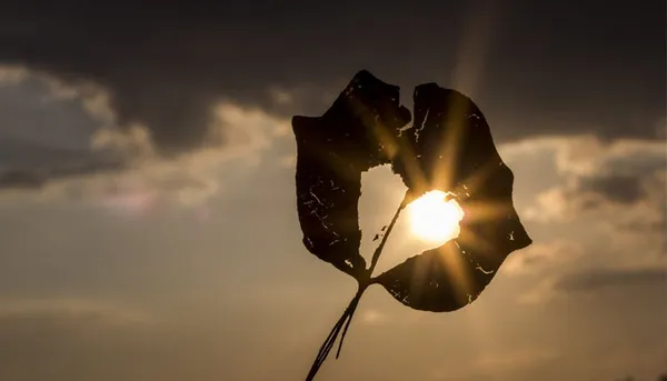 4 Racun Hati Menurut Sahabat Dekat Nabi – Nomor 3 Sering Kita Lakukan!
