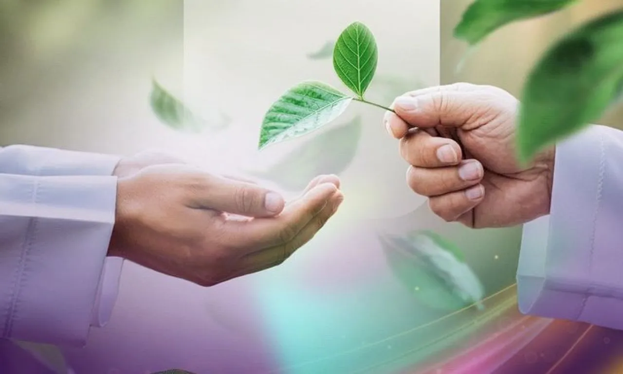Istiqamah dalam Kebaikan: Bukti Iman yang Terus Bertumbuh